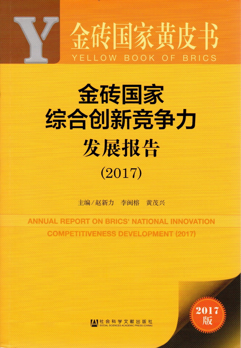 操逼内射免费看金砖国家综合创新竞争力发展报告（2017）